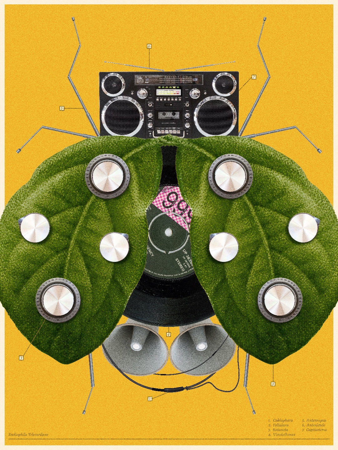 Bug 3