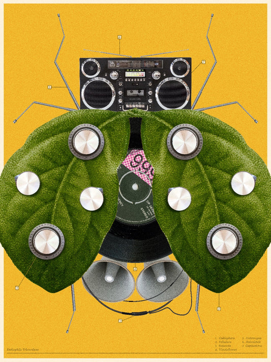 Bug 3