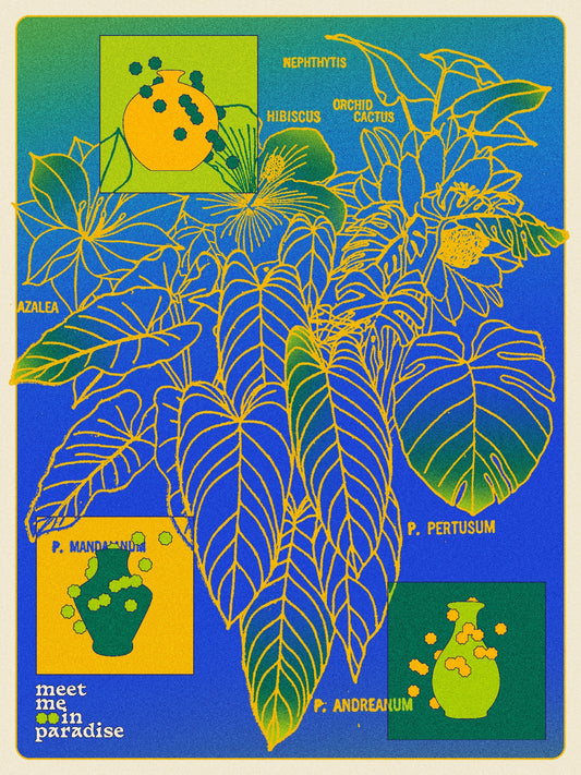 Paradise Plants