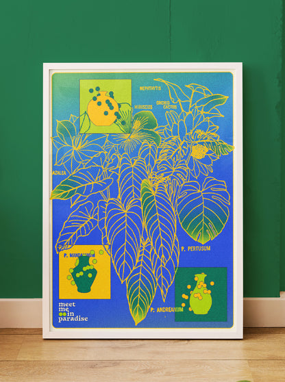 Paradise Plants