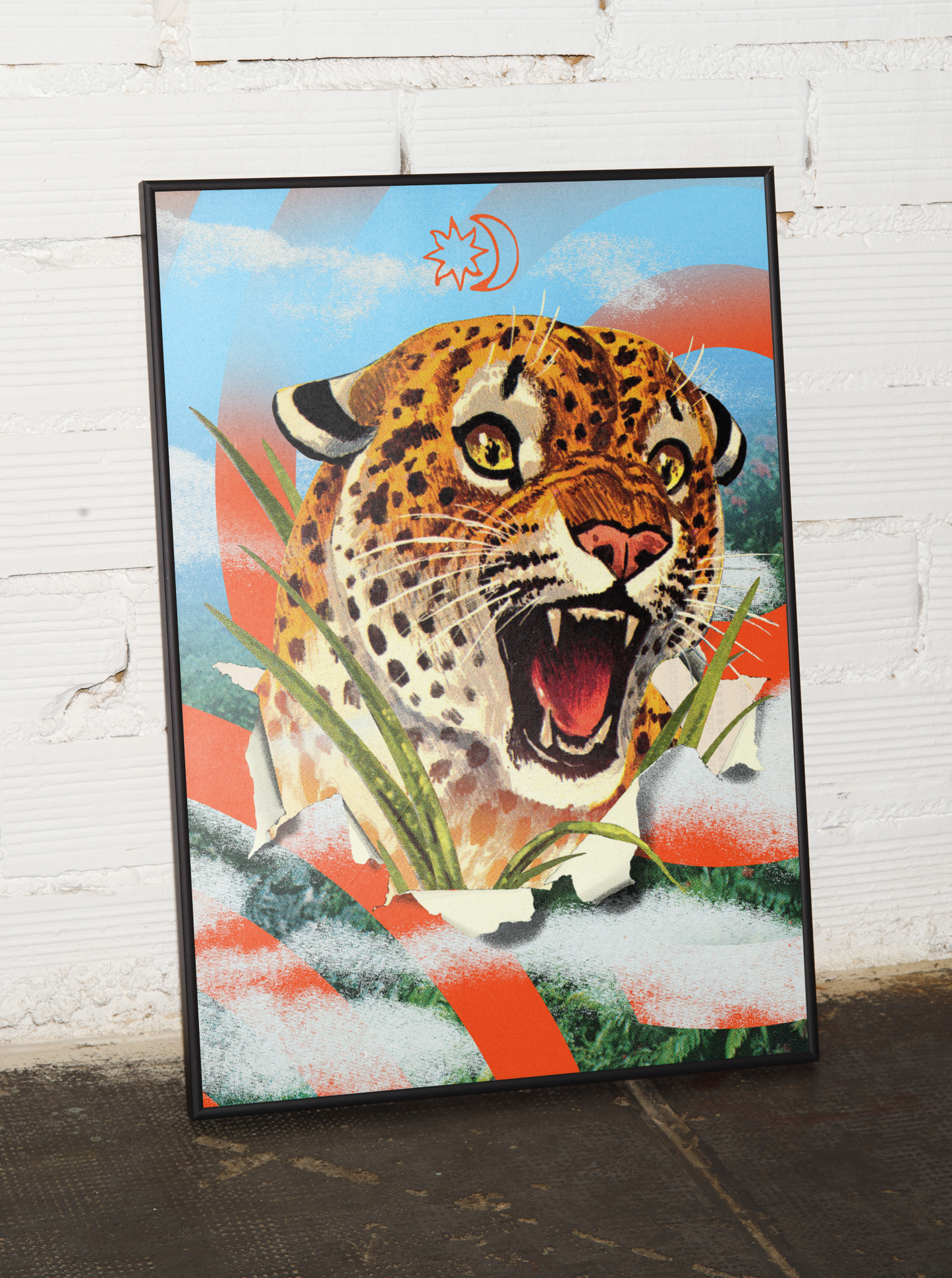 Wildcat